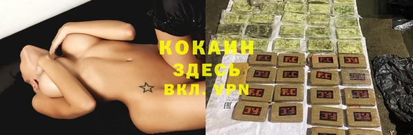 Альфа ПВП Няндома