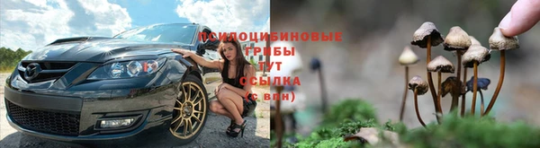 героин Новодвинск