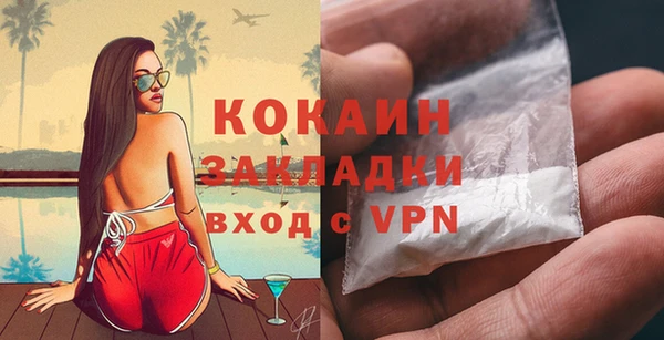 Альфа ПВП Няндома